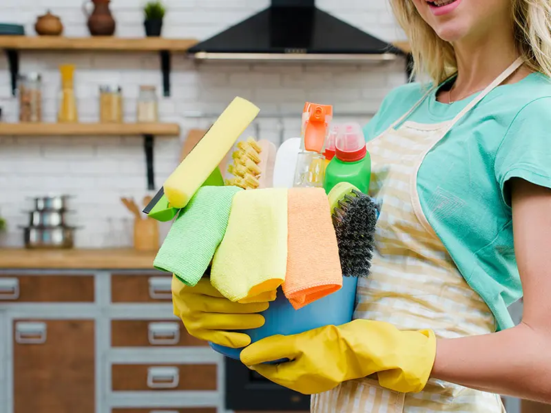 Iris Cleaning Services