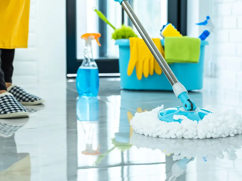 Iris Cleaning Services