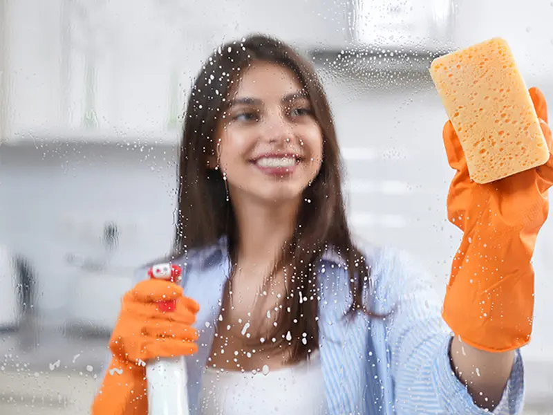 Iris Cleaning Services