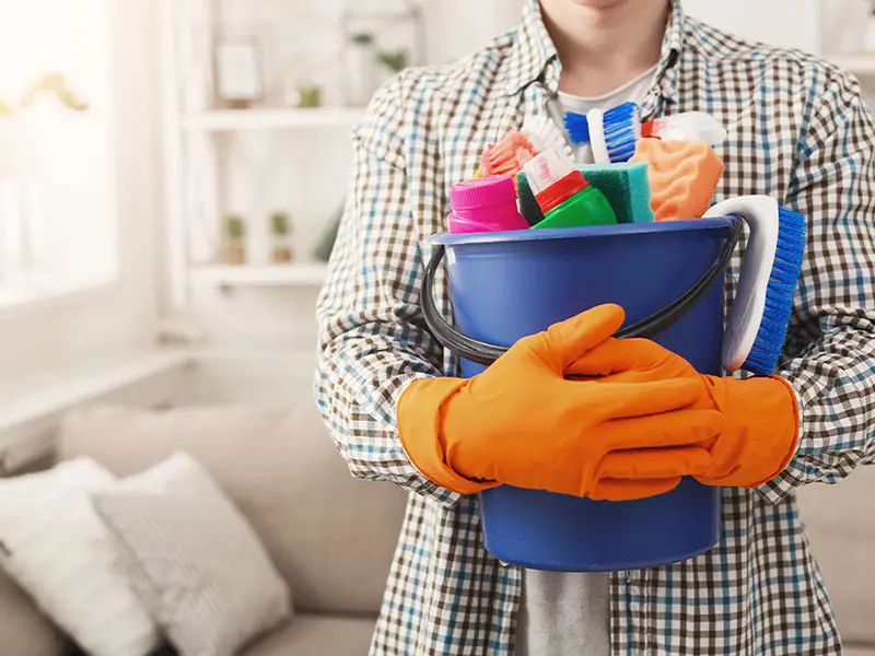 Iris Cleaning Services